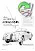 Jaguar 1955 04.jpg
